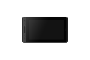 Интерактивный дисплей KAMVAS Pro 12