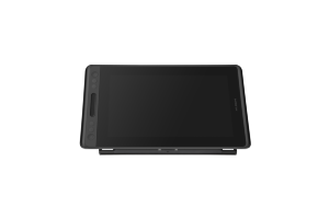 Интерактивный дисплей KAMVAS Pro 12